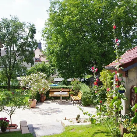 Modern In Saxony Near Forest Mülsen