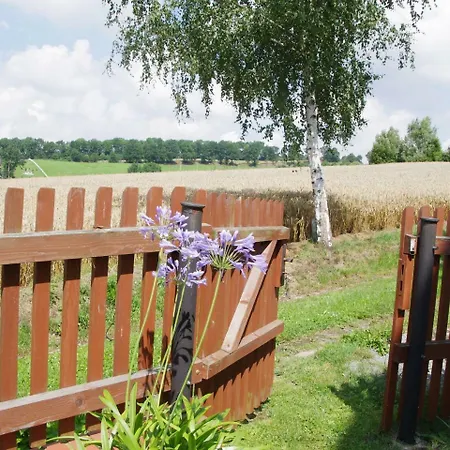 Apartment Modern In Saxony Near Forest Mülsen